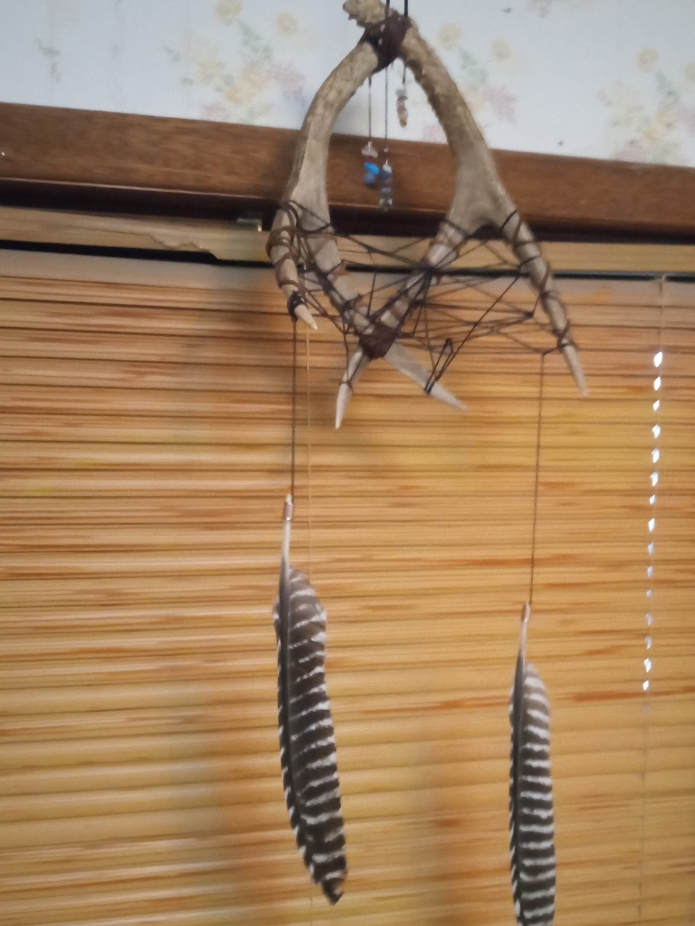 Rustic Antler Dreamcatcher Wall Hanging with Black and White Feathers Real Gems